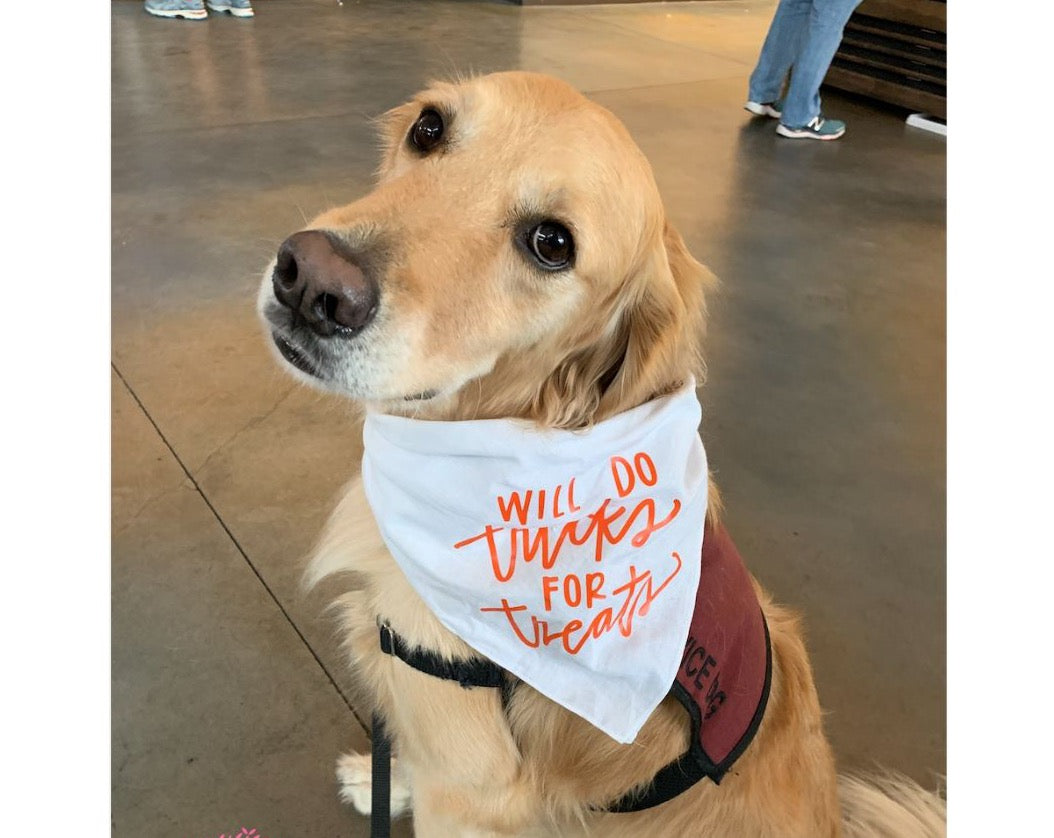 Will Do Tricks for Treats Bandana