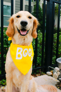 Boo Bandana