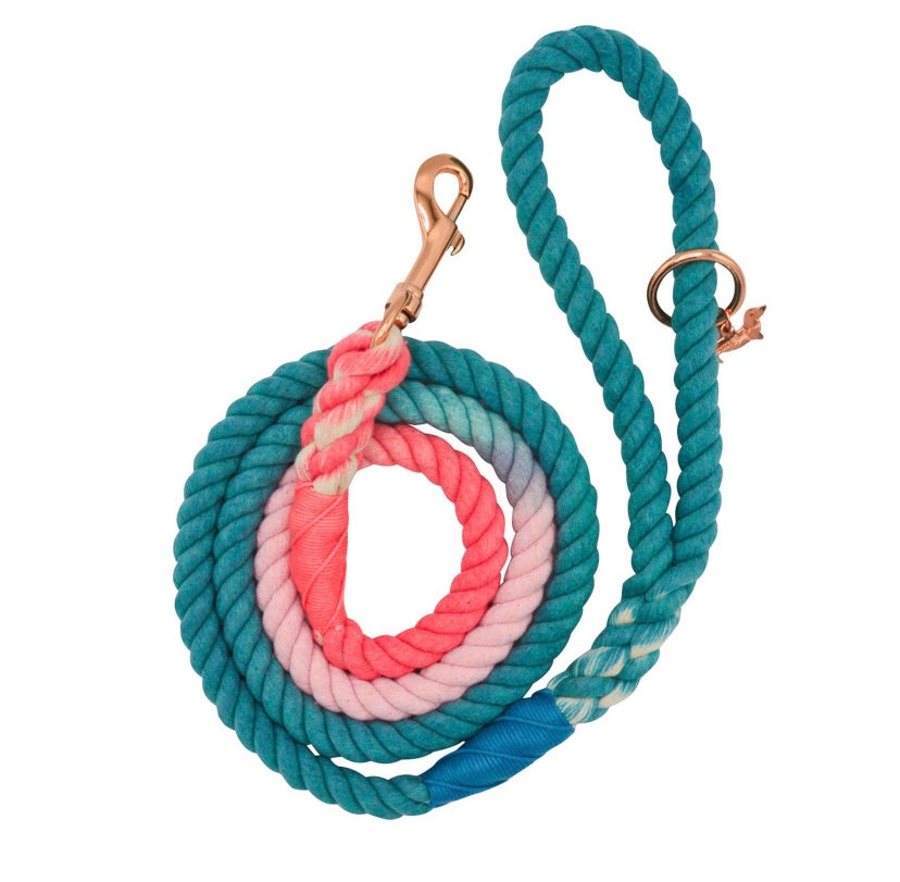 Rope Leash- Teal & Pink Ombré